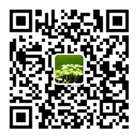 生态语言学通讯 生态语言学通讯
